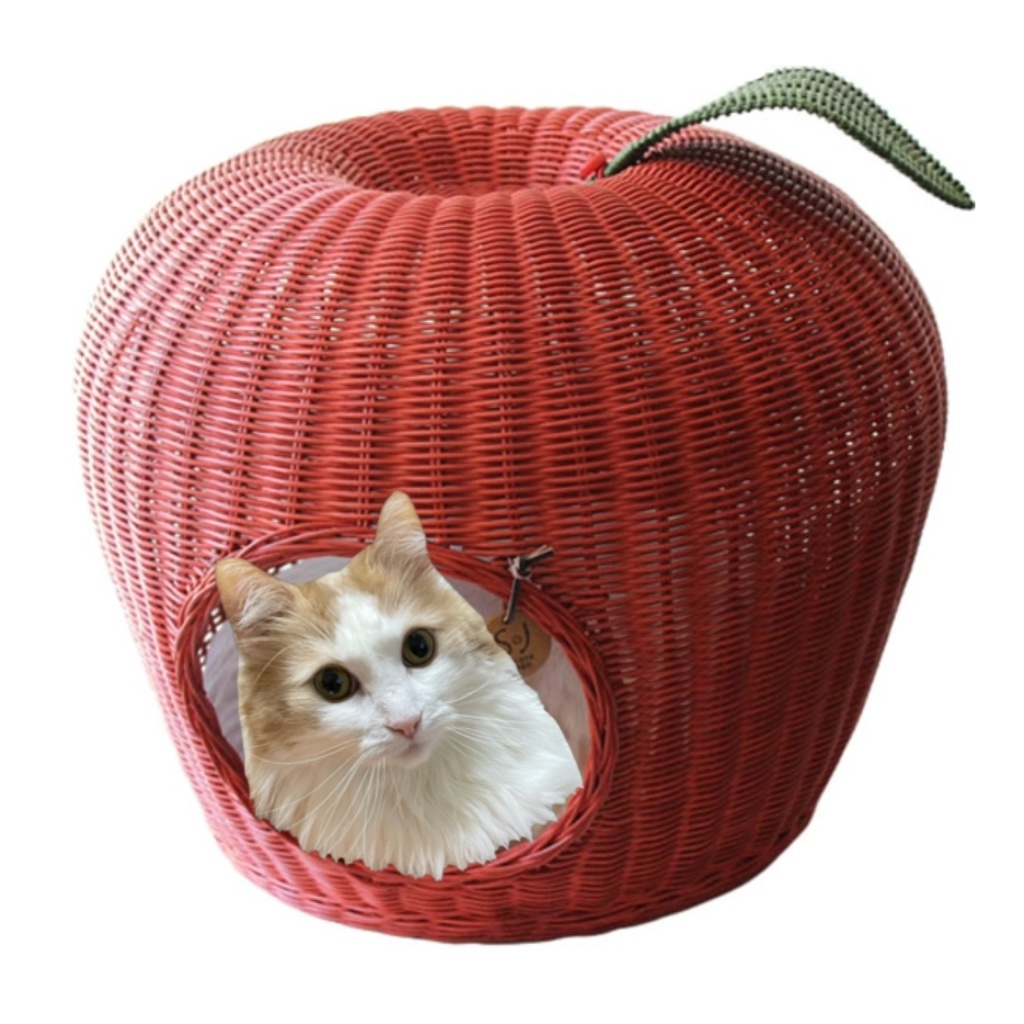 Tシャツ(短納期)サイズ(S M L XL)カラー(ホワイト)ノルウェージャン フォレストキャット