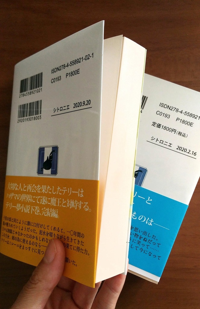DQ6テリー夢小説〈下〉「銀の剣と巡る世界の話〈下〉」