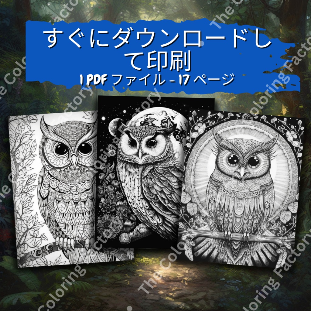 大人のためのフクロウの塗り絵 デジタル即時ダウンロード 楽しいセット 1