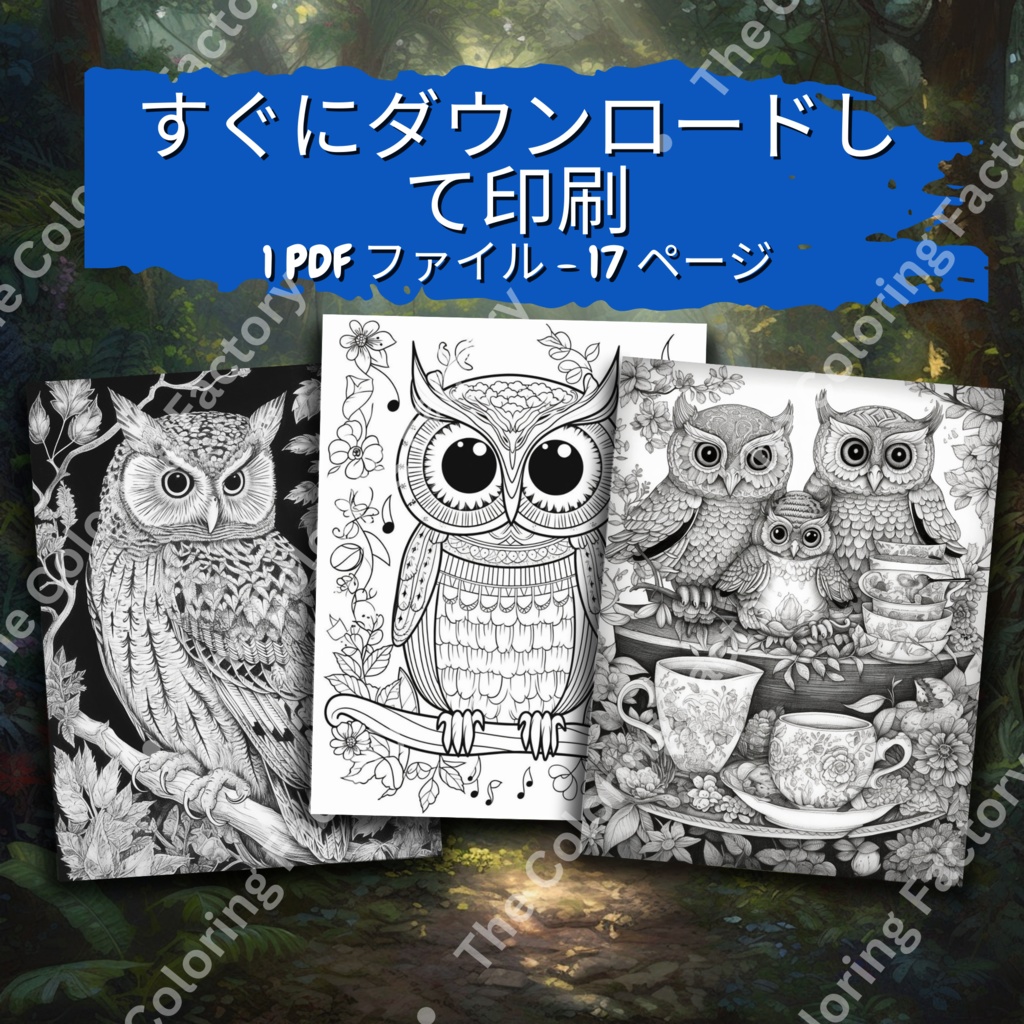 大人のためのフクロウの塗り絵 デジタル即時ダウンロード 楽しいセット 2