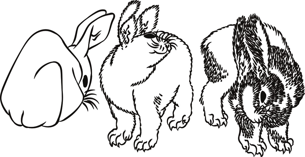 76葛飾北斎 三体画譜 うさぎ