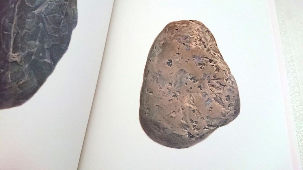 土と きぃか作品集