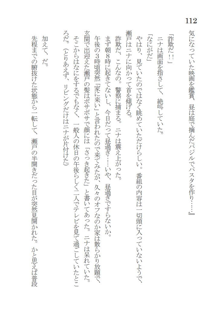 【完売】セトニナ本『twilight sky』