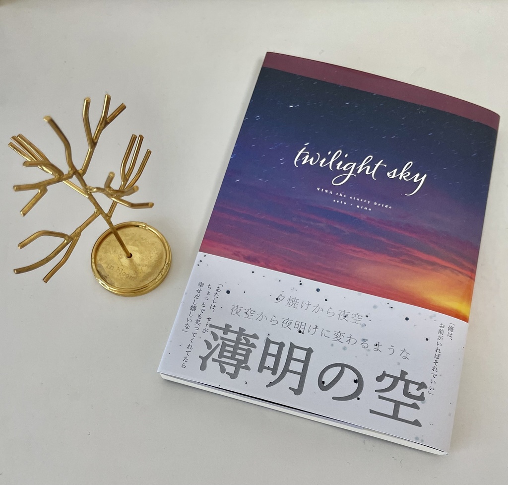 【完売】セトニナ本『twilight sky』