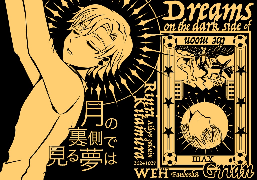 月の裏側で見る夢は