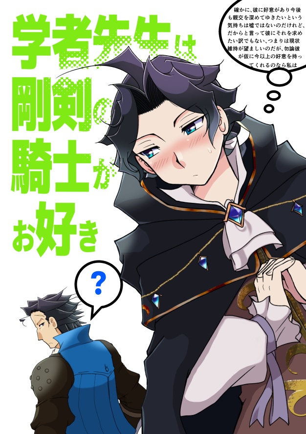 学者先生は剛剣の騎士がお好き