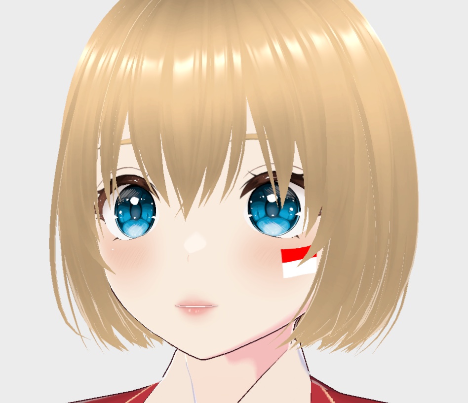 Indonesian flag (4 Ver.)