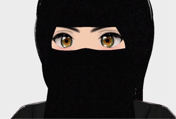 Black Abaya & Niqab Collection