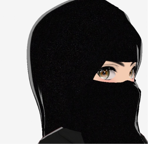 Black Abaya & Niqab Collection