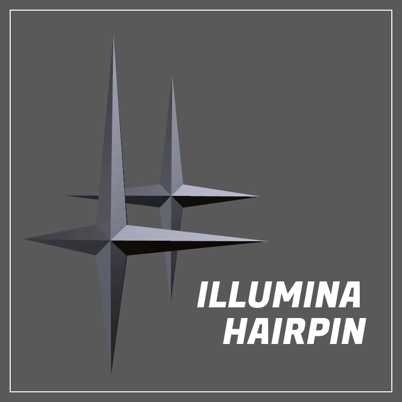Illumina Hairpin