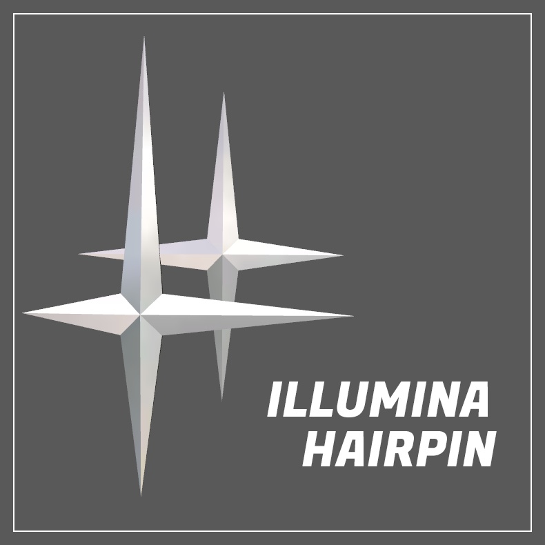 Illumina Hairpin