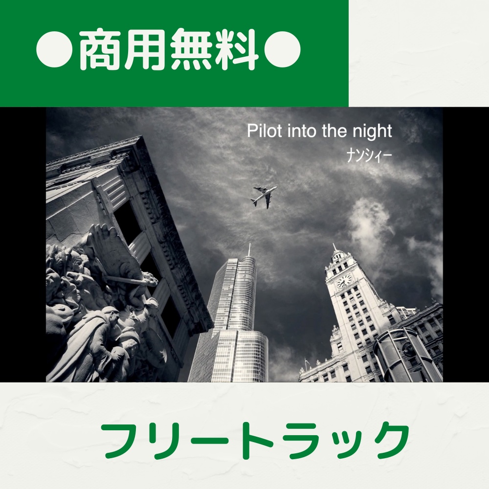 【FRAPT0038】Pilot into the night