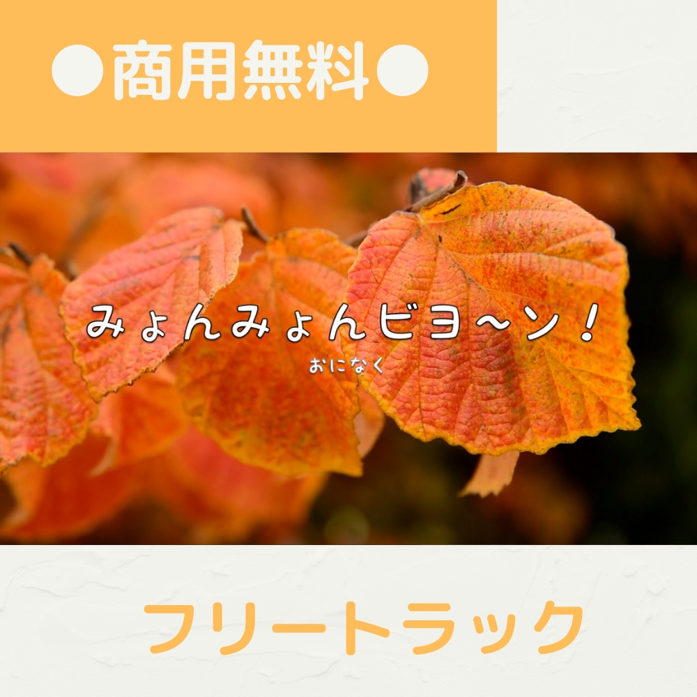 【FRAPT0047】みょんみょんビヨ~ン!