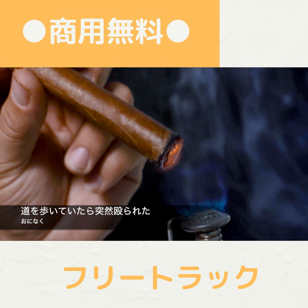 【FRAPT0051】道を歩いていたら突然殴られた