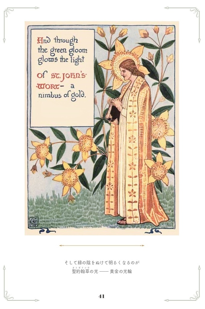 由緒ある英国庭園にて 咲ける花のふしぎな夢(送料込み)