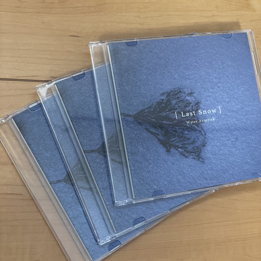 Last Snow LP / 音楽CD&データ / Techno,House,TechHouse, Ambient