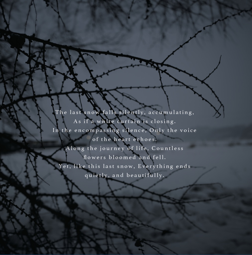 Last Snow LP / 音楽CD&データ / Techno,House,TechHouse, Ambient