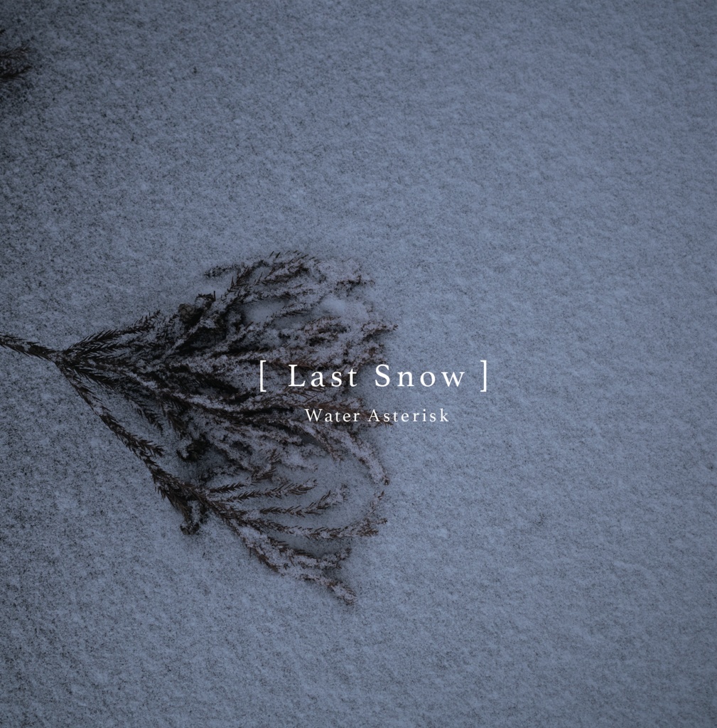 Last Snow LP / 音楽CD&データ / Techno,House,TechHouse, Ambient
