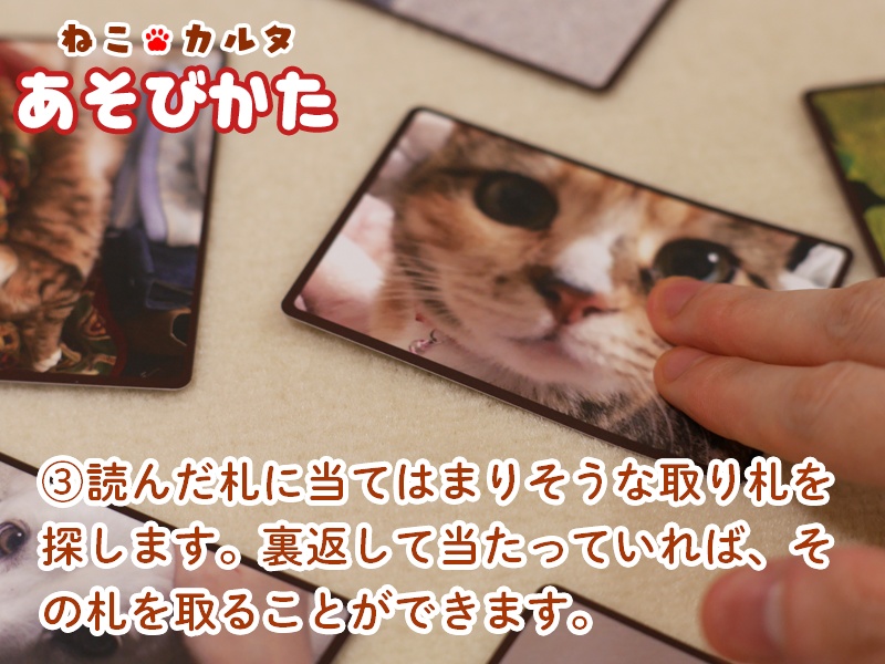 ねこカルタ