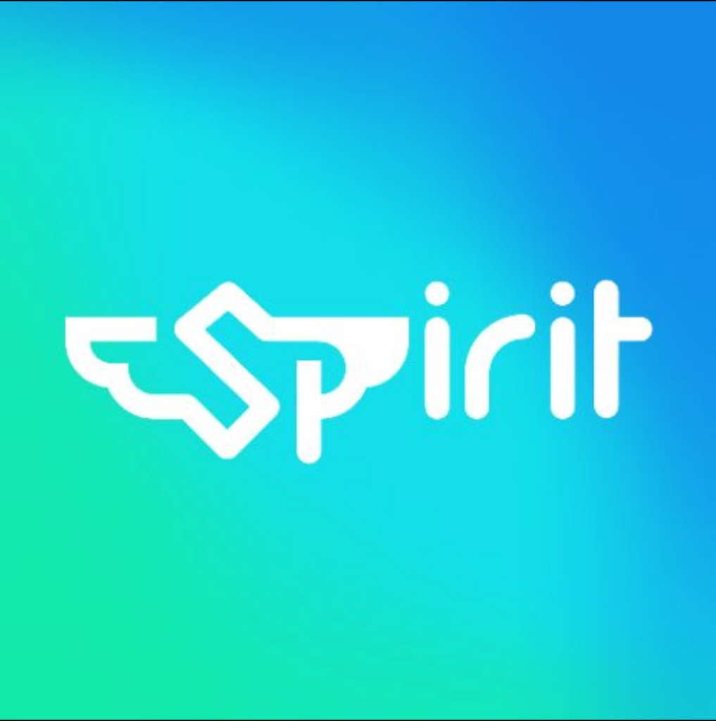 spirit 公式記録集