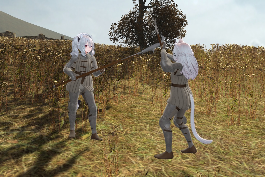 Medieval Women-at-Arms Armor