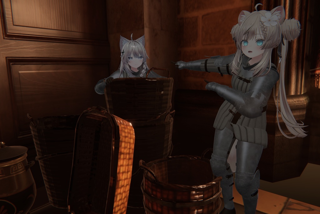 Medieval Women-at-Arms Armor