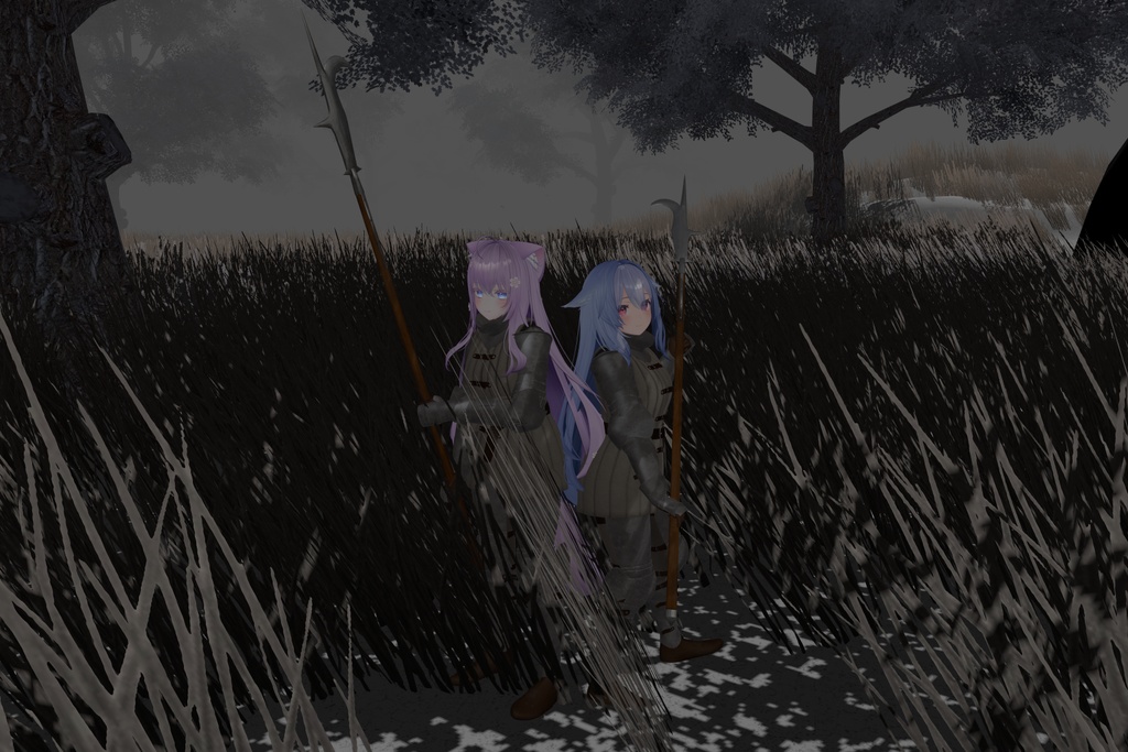 Medieval Women-at-Arms Armor