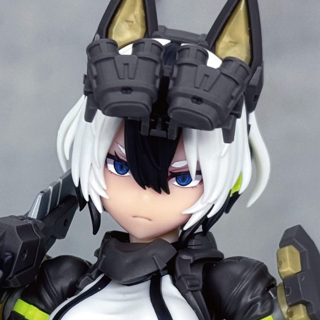ガルム・リッパー用カスタムフェイス・1