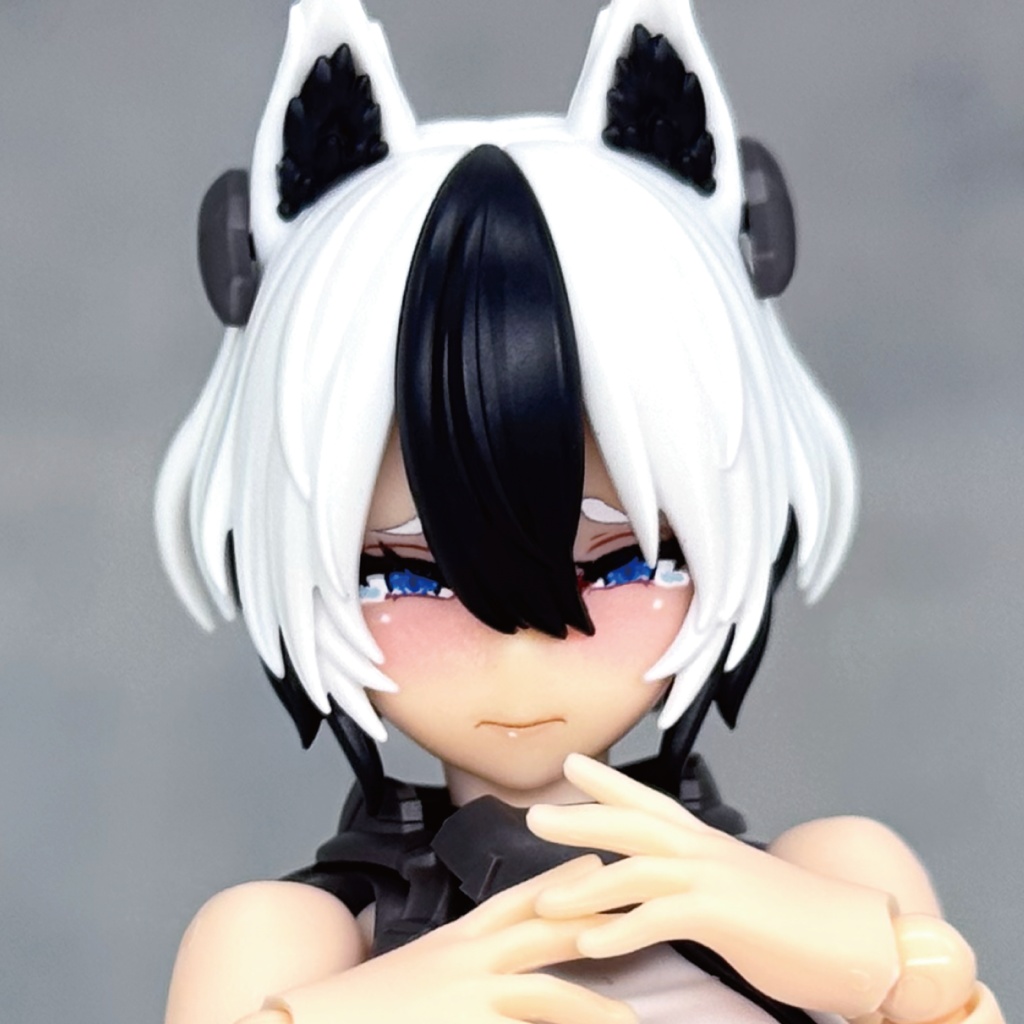 ガルム・リッパー用カスタムフェイス・2