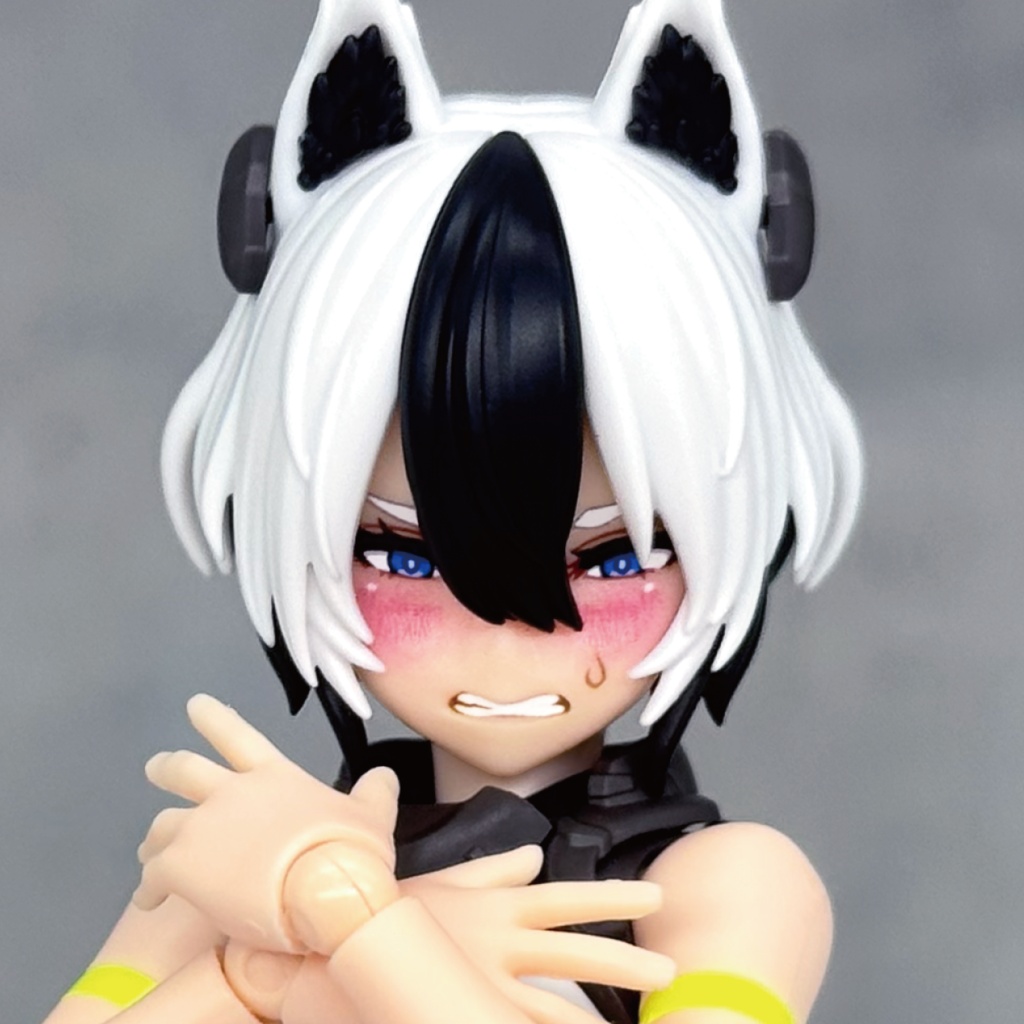 ガルム・リッパー用カスタムフェイス・2