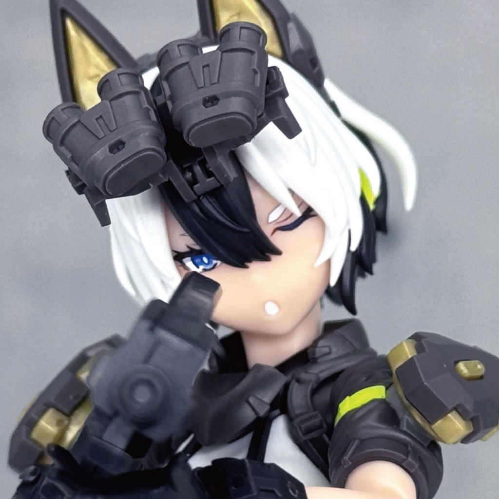 ガルム・リッパー用カスタムフェイス・2