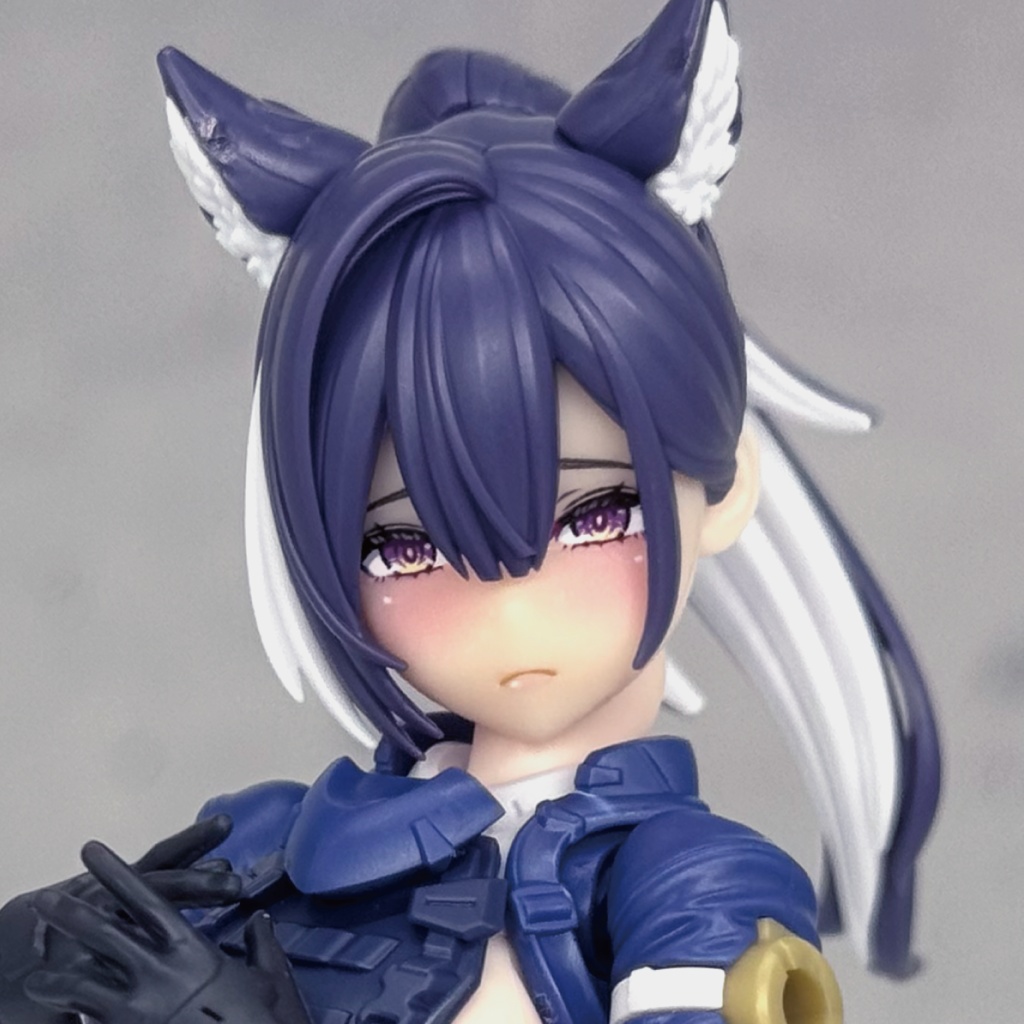 スコル・シャープシューター用カスタムフェイス・1