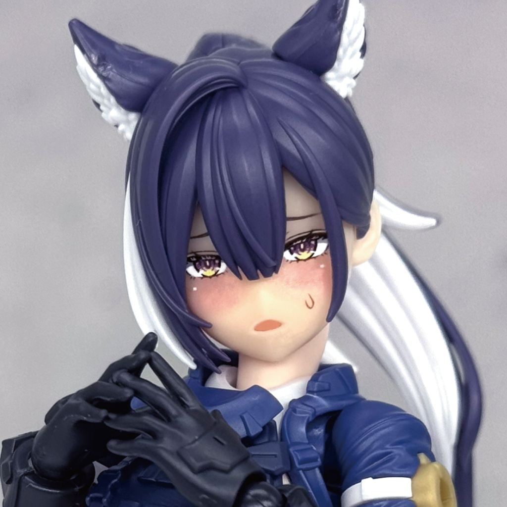 スコル・シャープシューター用カスタムフェイス・2