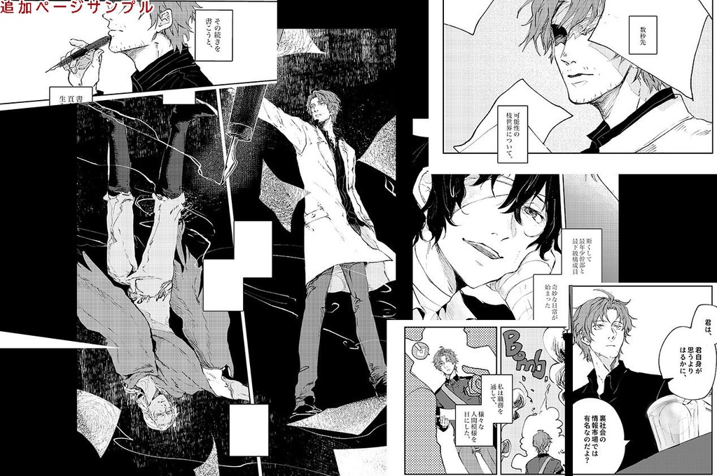 或る証明-改稿-(ネコポス匿名配送)