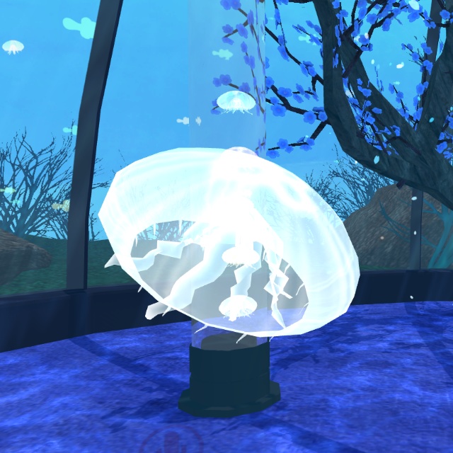 足がゆらゆらするくらげ