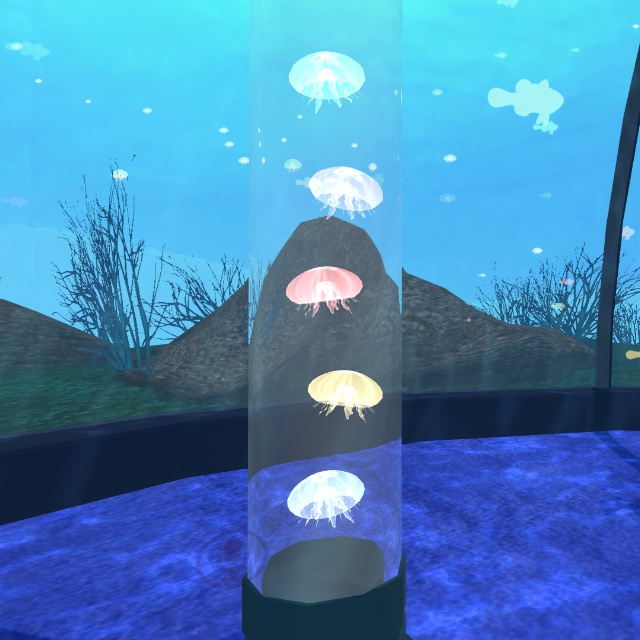 足がゆらゆらするくらげ