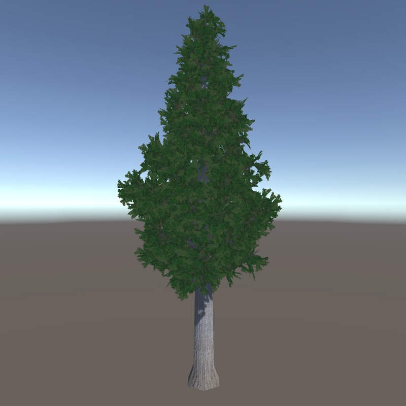 【3Dモデル】杉の木