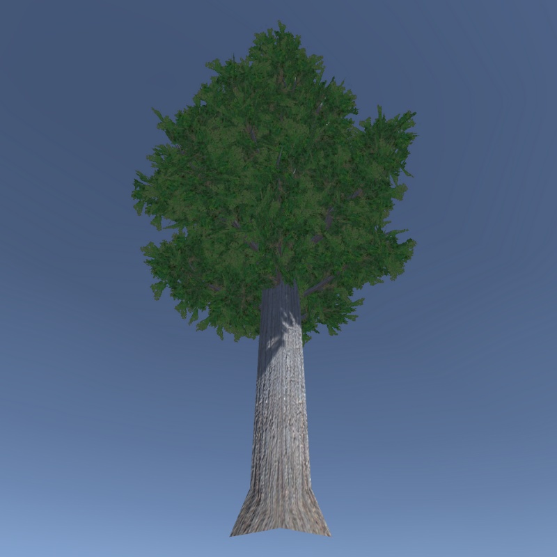 【3Dモデル】杉の木