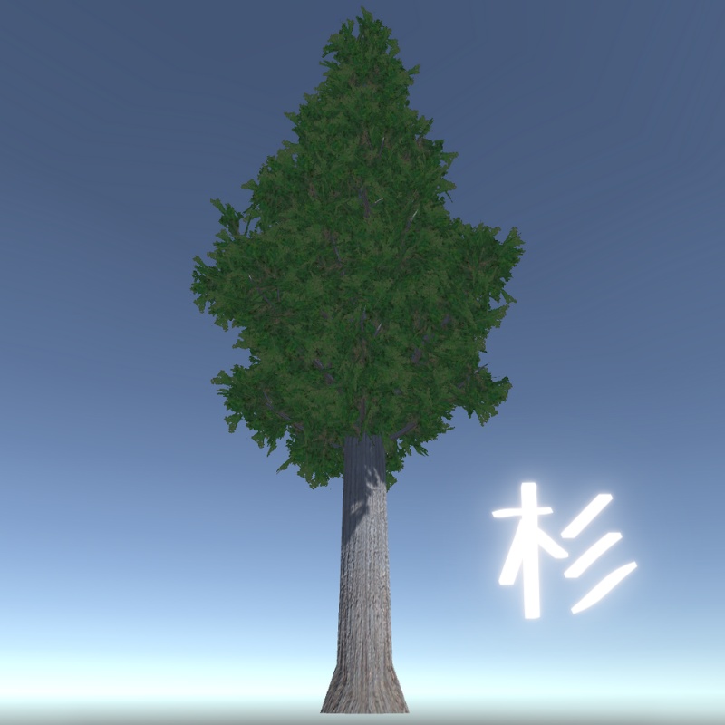 【3Dモデル】杉の木