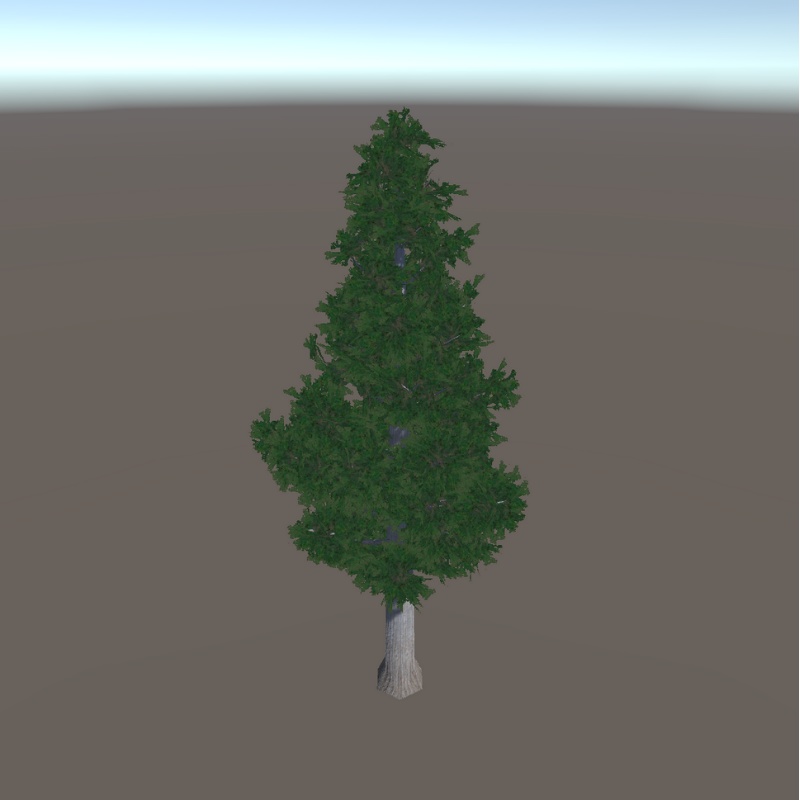 【3Dモデル】杉の木