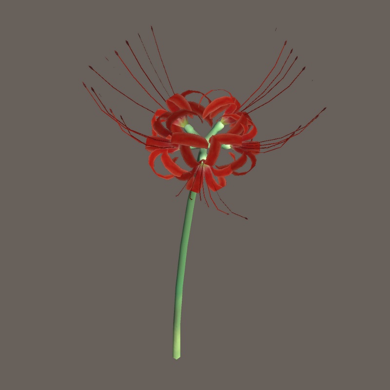 【3Dモデル】赤い彼岸花(ヒガンバナ)