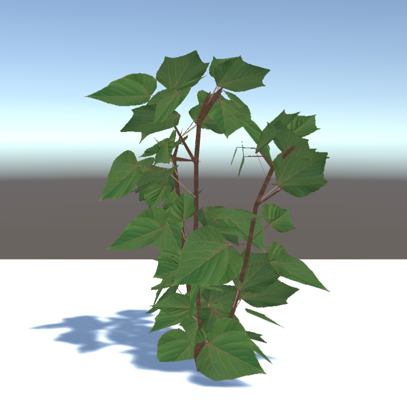 【3Dモデル】アカメガシワ(日本の草木)