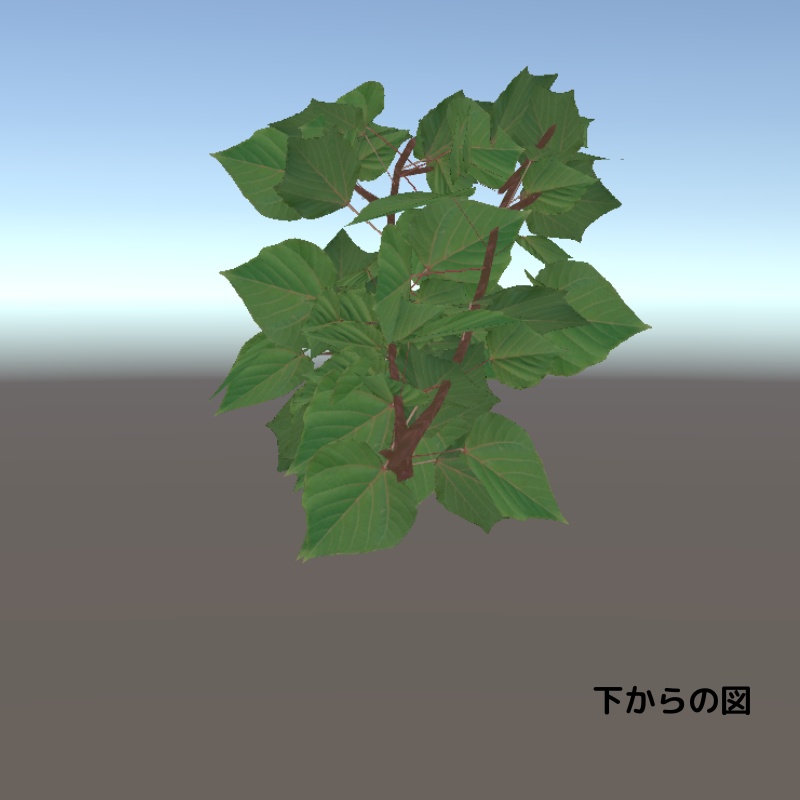 【3Dモデル】アカメガシワ(日本の草木)