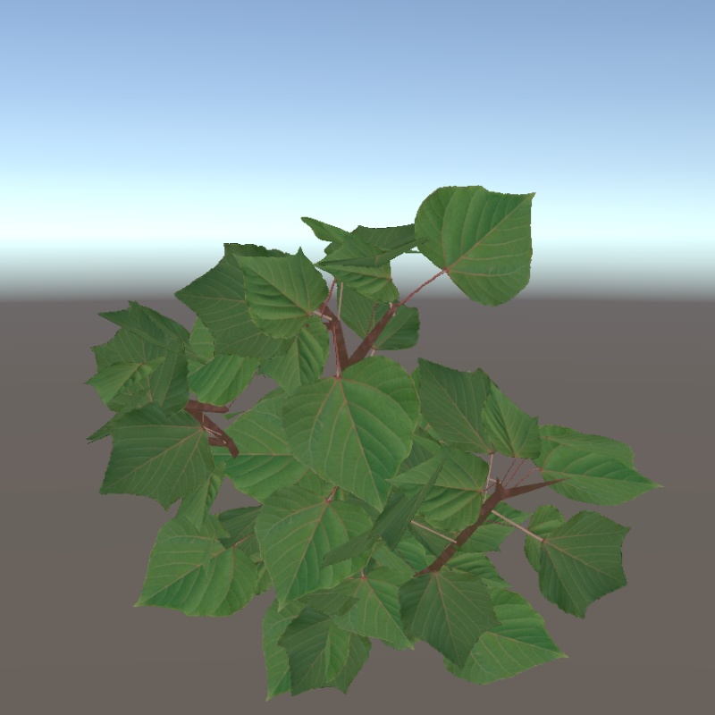 【3Dモデル】アカメガシワ(日本の草木)