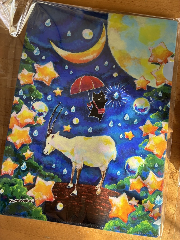 A4クリアファイル