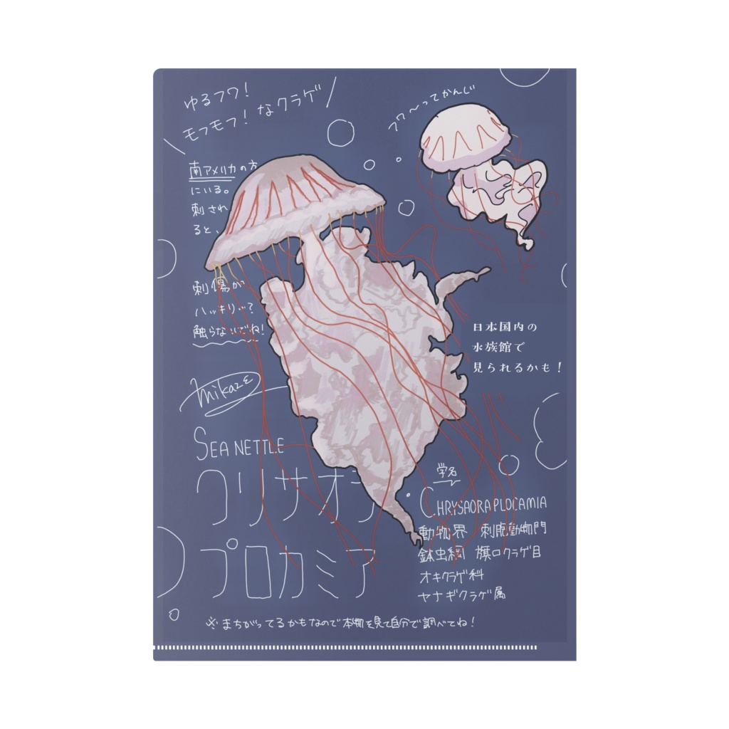 Mikaze-aquarium A4クリアファイル クリサオラ・プロカミア