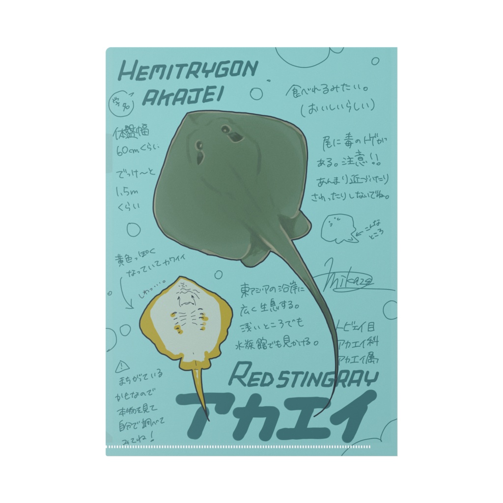 Mikaze-aquarium A4クリアファイル アカエイ