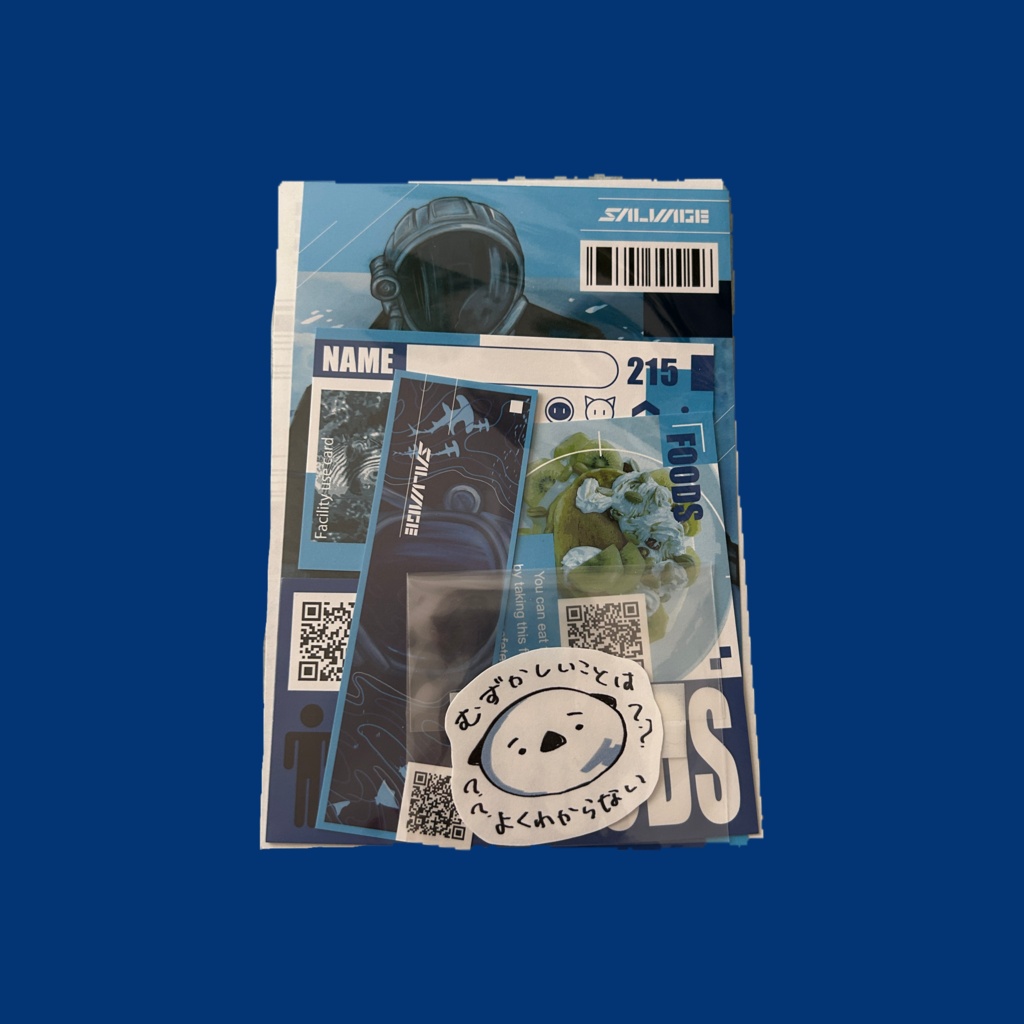 過去グッズ　お試しセット　Salvage
