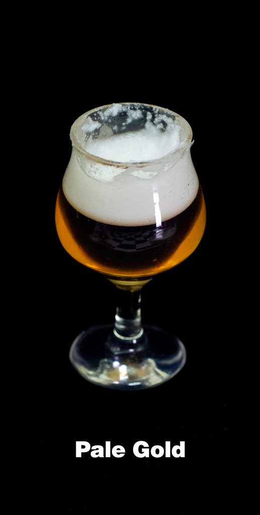 1/3サイズ やっぱ最初の一口は最高! ビール三種