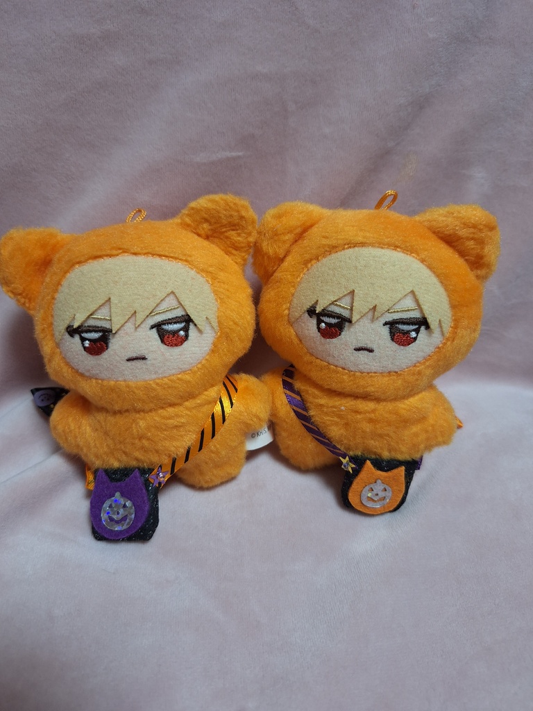 ハロウィンポシェット